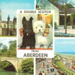 Vintage Postcard – A Double Scotch from Aberdeen, Westie Dogs & Views