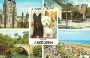 Vintage Postcard – A Double Scotch from Aberdeen, Westie Dogs & Views