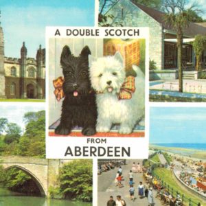 Vintage Postcard – A Double Scotch from Aberdeen, Westie Dogs & Views