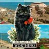 Vintage 1973 Worthing Postcard with Black Cat & Pier Views