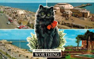Vintage 1973 Worthing Postcard with Black Cat & Pier Views