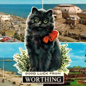 Vintage 1973 Worthing Postcard with Black Cat & Pier Views