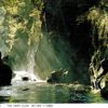 Fairy Glen Postcard – Betws-y-Coed, North Wales (Judges of Hastings)