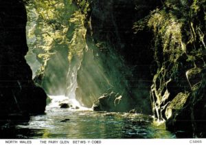 Fairy Glen Postcard – Betws-y-Coed, North Wales (Judges of Hastings)