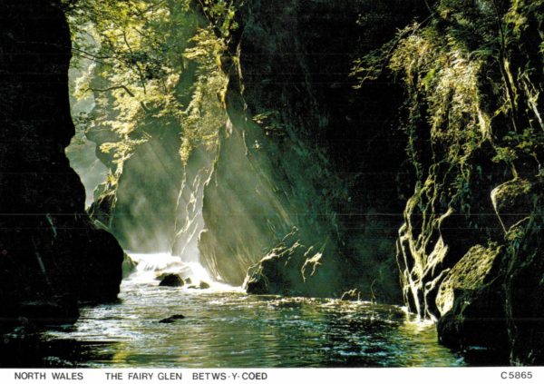 Fairy Glen Postcard – Betws-y-Coed, North Wales (Judges of Hastings)