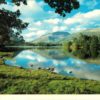 1983 Grasmere Lake District Postcard – Colourmaster