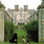 Cranborne Manor House Postcard – Dorset Historic North Front