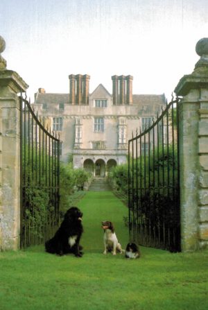 Cranborne Manor House Postcard – Dorset Historic North Front