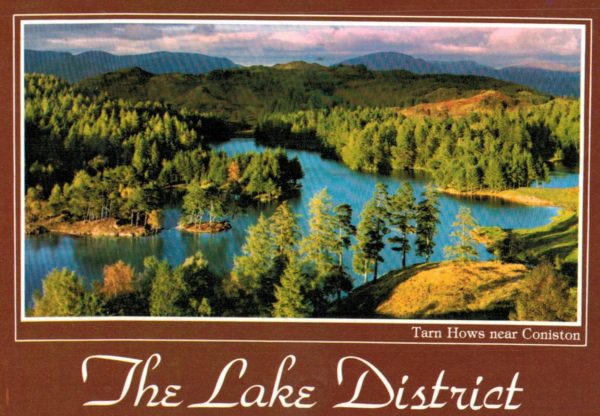 Tarn Hows Lake District Postcard near Coniston 1993
