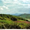 View from Abberley Hill Postcard – Abberley W.I. Photo