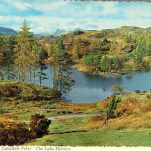Tarn Hows Lake District Postcard – 1977 Langdale View