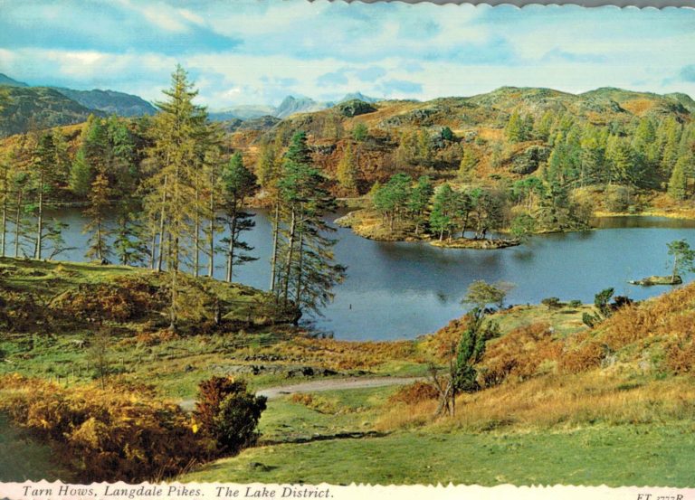 Tarn Hows Lake District Postcard – 1977 Langdale View