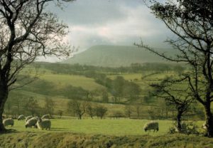 Pendle Hill Postcard – Country Cameos by Kenneth Oldham 2001