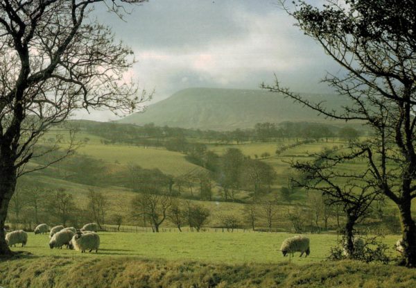 Pendle Hill Postcard – Country Cameos by Kenneth Oldham 2001