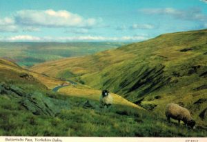 Buttertubs Pass Yorkshire Dales postcard Bamforth vintage