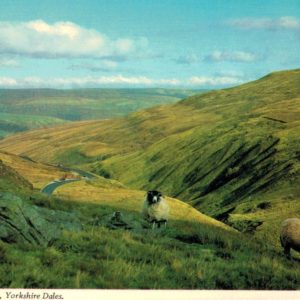 Buttertubs Pass Yorkshire Dales postcard Bamforth vintage