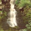 Mill Gill Falls Askrigg postcard Wensleydale Walter Scott