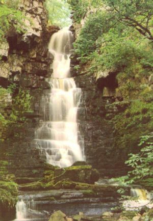 Mill Gill Falls Askrigg postcard Wensleydale Walter Scott