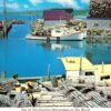 Sandford Nova Scotia Postcard – Lobster Pots & Drawbridge Harbour