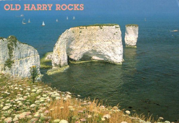 Old Harry Rocks Postcard – Swanage Dorset Coastline (1993 Postmark)