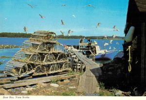 Rose Bay Nova Scotia Fishing Wharf Postcard Wilson’s Superb