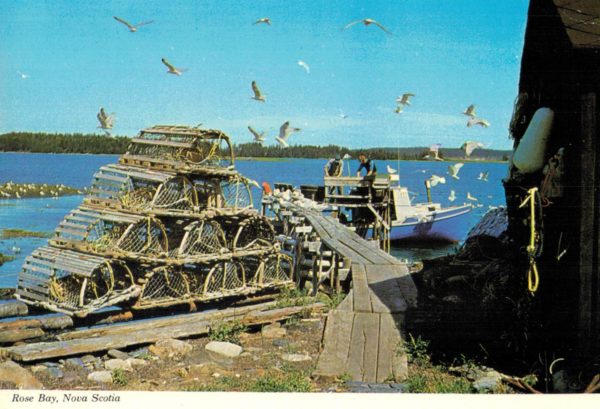 Rose Bay Nova Scotia Fishing Wharf Postcard Wilson’s Superb