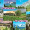 Promenade en Dévoluy Multiview Postcard Hautes-Alpes