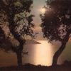 Zante Zakynthos Dawn Postcard by K. Btrelis Greece