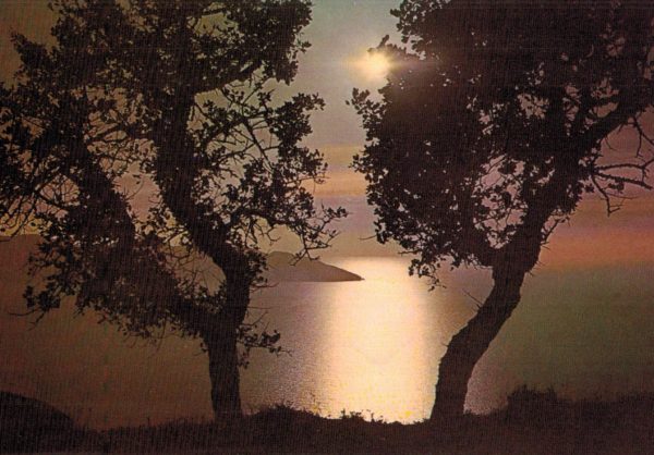 Zante Zakynthos Dawn Postcard by K. Btrelis Greece