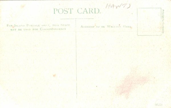 Knightwood Oak Postcard, New Forest – Printed in Germany