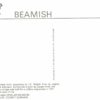 Tanfield Arch Postcard – Beamish Causey Arch Engraving