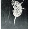 Danseuse Etoile Postcard – Donato Forte Ballet Art