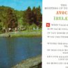 Meeting of the Waters Avoca Ireland Vintage Postcard