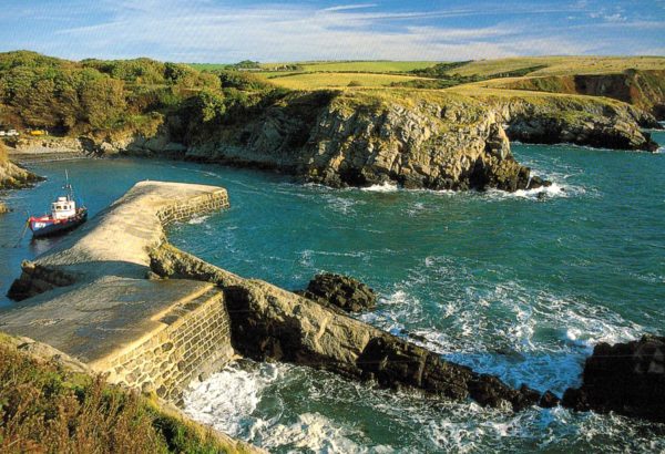 Stackpole Quay Postcard – Pembrokeshire Coast, Wild Wales