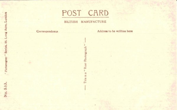 Elissa Landi Postcard No.533 Dorothy Wilding Picturegoer