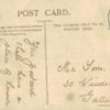 Vesta Tilley Rotary Postcard 175H Bassano 1905 Portrait