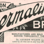 1936 Bermaline Bread Ad – Indigestion Cure Vintage Print