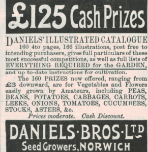 1901 Daniels Bros Norwich Advert – Garden Seeds & Catalogue Promo
