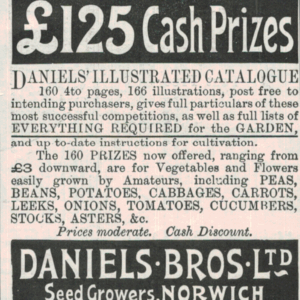 1901 Daniels Bros Norwich Advert – Garden Seeds & Catalogue Promo