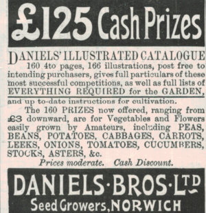 1901 Daniels Bros Norwich Advert – Garden Seeds & Catalogue Promo