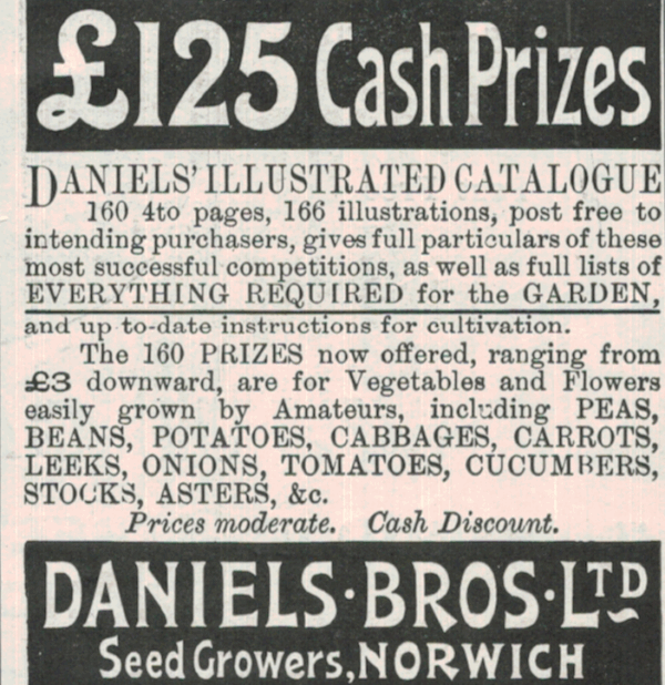 1901 Daniels Bros Norwich Advert – Garden Seeds & Catalogue Promo