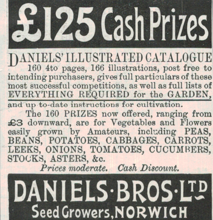 1901 Daniels Bros Norwich Advert – Garden Seeds & Catalogue Promo