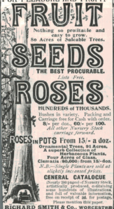 1901 Richard Smith & Co. Advert – Fruit Seeds & Roses Catalogue