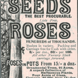 1901 Richard Smith & Co. Advert – Fruit Seeds & Roses Catalogue