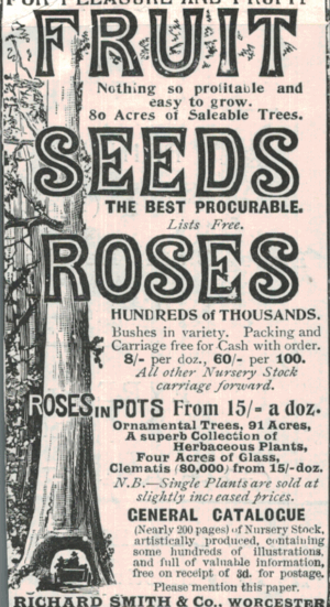 1901 Richard Smith & Co. Advert – Fruit Seeds & Roses Catalogue