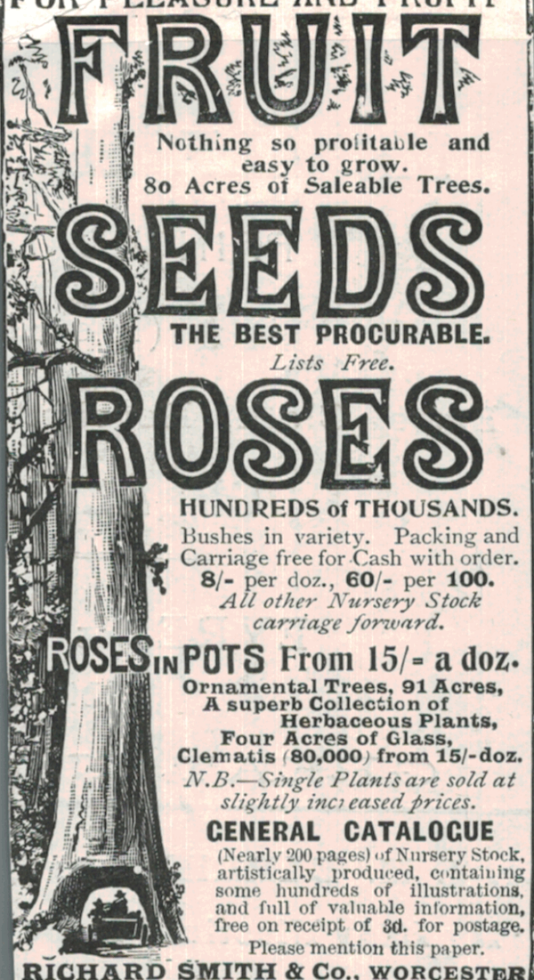 1901 Richard Smith & Co. Advert – Fruit Seeds & Roses Catalogue