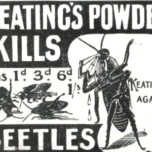 Keating’s Powder Beetle Killer Ad – 1910 Illustrated Insecticide