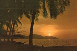 1988 Penang Malaysia Sunset Postcard – Palm Trees & Boats