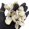 Vintage Mother-of-Pearl Shell Cluster Stretch Bracelet Vintage Mother-of-Pearl Shell Cluster Stretch Bracelet