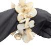 Vintage Mother-of-Pearl Shell Cluster Stretch Bracelet Vintage Mother-of-Pearl Shell Cluster Stretch Bracelet